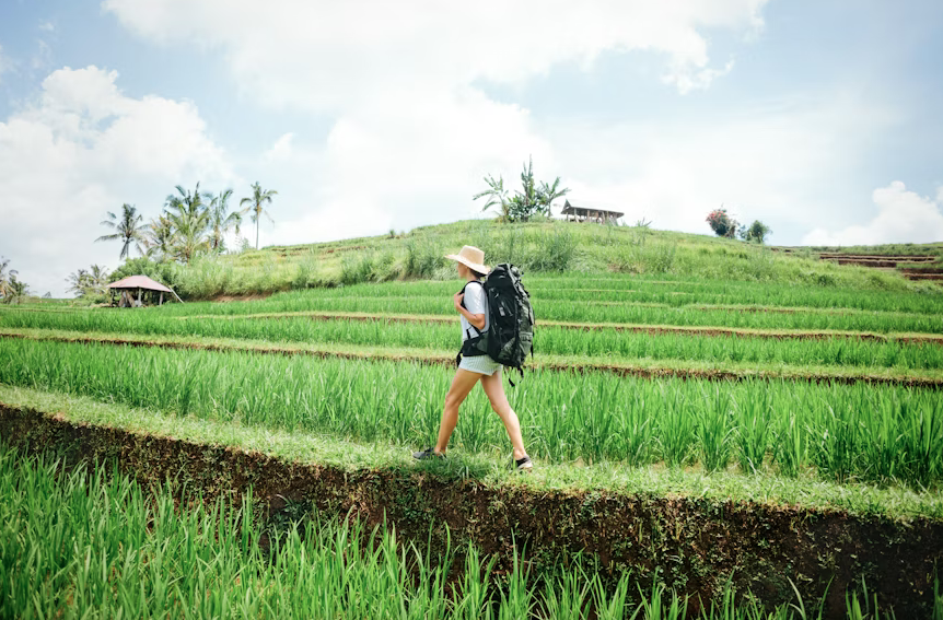 Rice field trekking